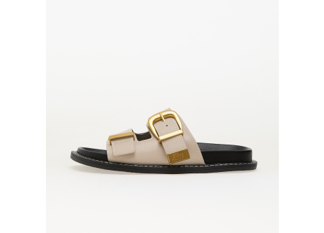 Steve Madden ARCH (1100470217Y) braun