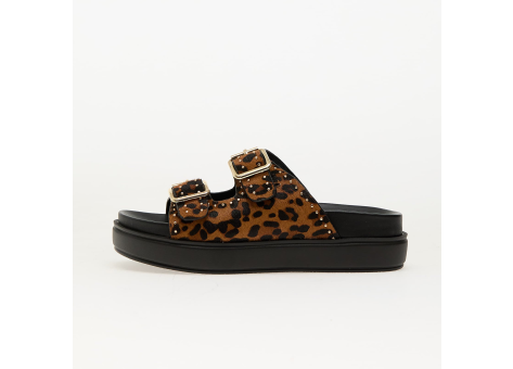 Steve Madden Freelance L Leopard (SM11003597 969) bunt