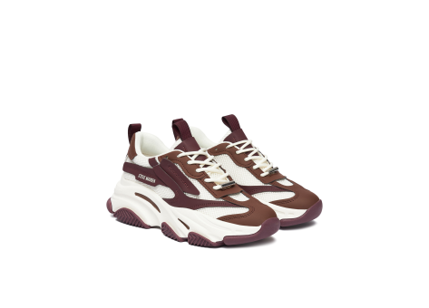 Steve Madden Possession E (SM19000033-04005-WSC) bunt