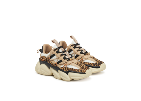 Steve Madden Spectator L (11003509-702) bunt