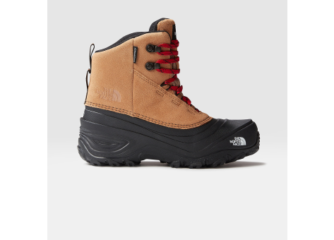 The North Face Chilkat V Lace (NF0A7W5YKOM) schwarz