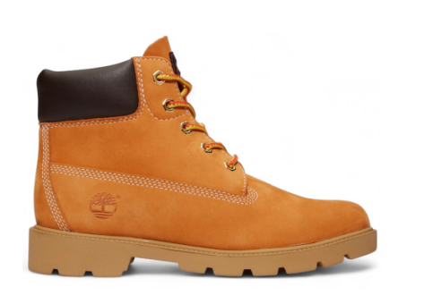 Timberland 6 Boot (TB010960 713) braun