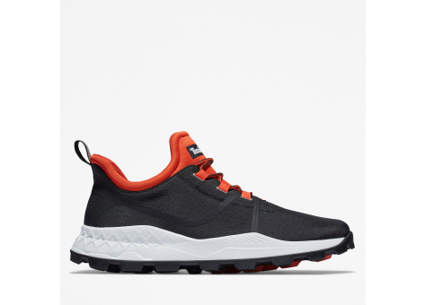 Timberland Brooklyn (TB0A2GGE0151) schwarz