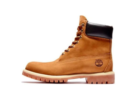 Timberland Icon 6 Inch Premium Boot (72066827) braun
