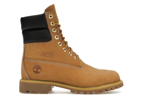 Timberland Premium (TB0A2QC9 231) braun