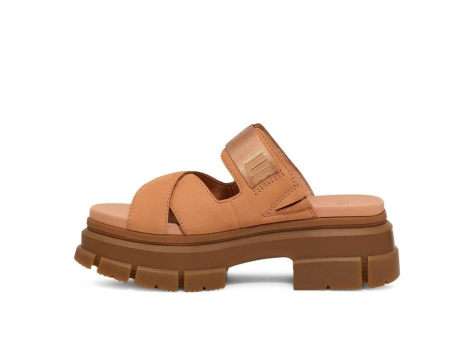 UGG Ashton Toast (1136765-TOAS) braun