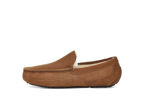 UGG Casual Low Slippers (1115149-CHE) braun