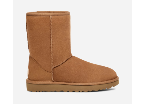 UGG Classic Short (5800/CHE) braun