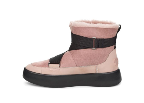 UGG Classic Boom Buckle (1104616-PCRY) pink