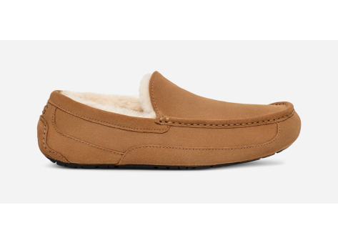 UGG Ascot (1101110-CHE) braun