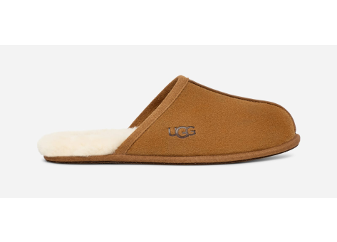 UGG Scuff (1101111-CHE) braun