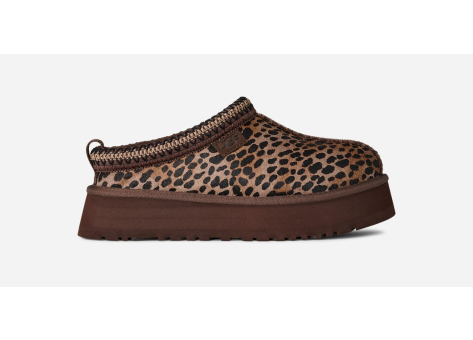 UGG Tazz Caspian (1178430-BCDR) braun
