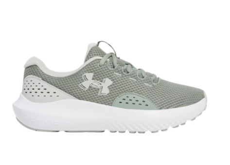 Under Armour UA W Charged Surge 4 (3027007-348) grau