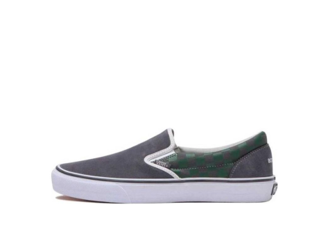 Vans BOTANIZE x slip on collection Green (V98CFBOTANIZE) bunt
