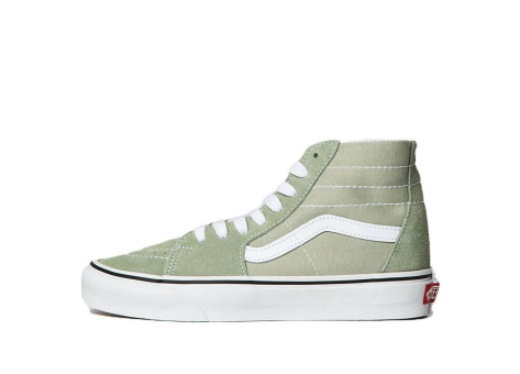 Vans Color Theory SK8 HI Tapered Desert Sage (VN0A7Q62UDP) beige