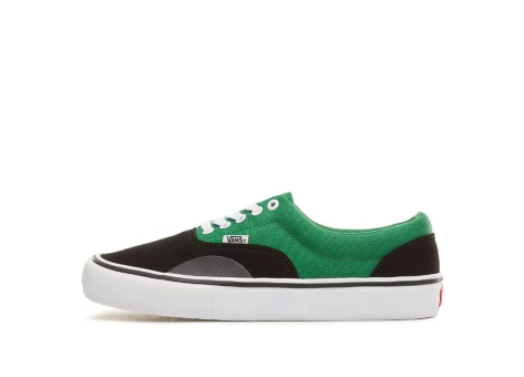 Vans Era Pro Amazon (VN000VFBU1K) bunt