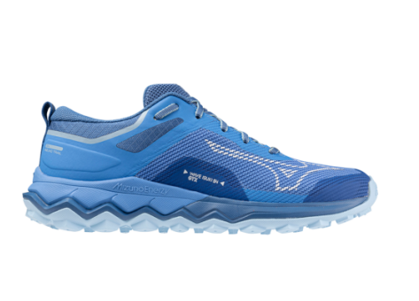 Mizuno Wave Ibuki 4 Gtx Marina Federal Blue (J1GK225982) weiss