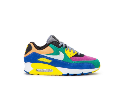 Nike Air Max 90 QS Viotech 2.0 (CD0917-300) bunt