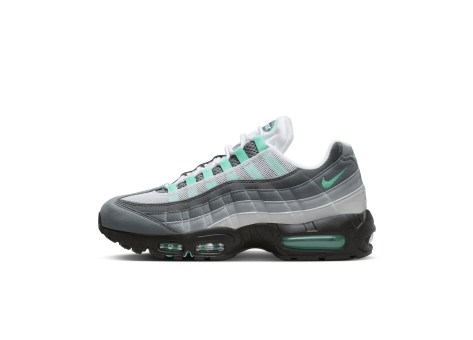Nike Air Max 95 (FV4710-100) bunt