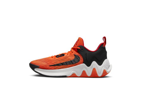 Nike Giannis Immortality 2 (DM0825-800) bunt