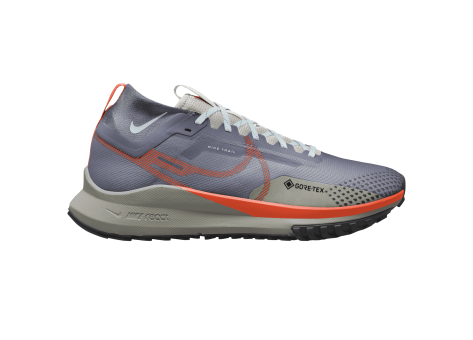 Nike React Trail Pegasus 4 GORE TEX (DJ7926-006) grau