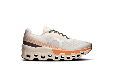 ON Cloudmonster 2 (3WE10113202) beige