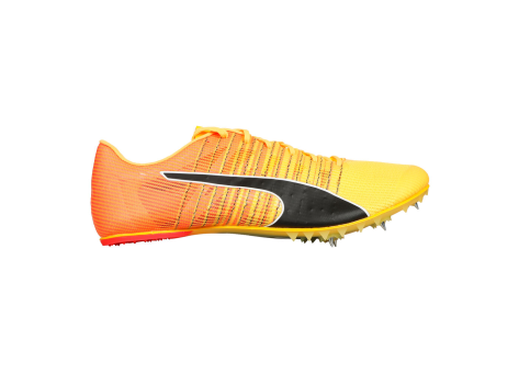 PUMA evoSPEED Future 6 (380023-01) orange