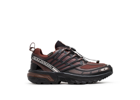 Salomon ACS Pro GTX TEX GORE (L47736400) braun