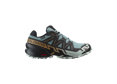 Salomon Speedcross 6 GTX (L47880000) bunt