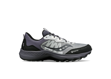 Saucony Aura TR GTX (S20866-120) grau