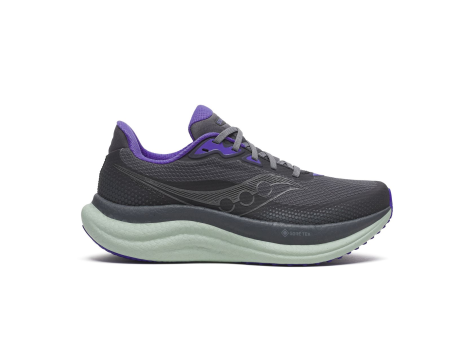 Saucony Triumph 23 GTX (S11025-01) schwarz