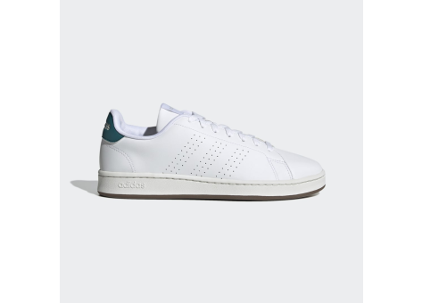 adidas Advantage (GW5537) weiss