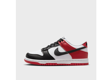 Nike Dunk Low GS Toe (HF9980 600) bunt