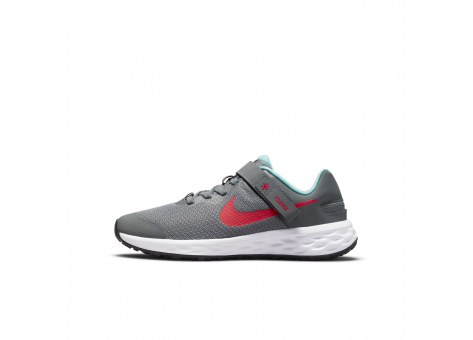 Nike Revolution 6 FlyEase (DD1113-006) grau