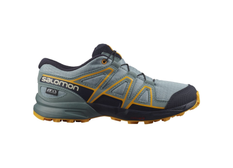 Salomon SPEEDCROSS CLIMASALOMON WATERPROOF (L41446900) bunt