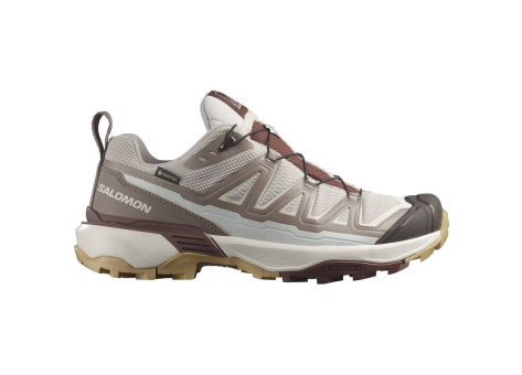 Salomon X Ultra 360 Edge GTX W (L47698800) grau