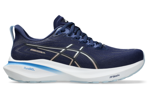 Asics GT 2000 13 (1012B666.403) blau