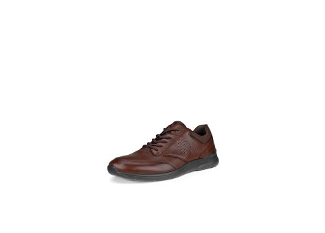 Ecco Irving (51173455738) braun