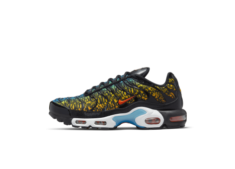 Nike Air Max Plus Brixton (DX2665-001) schwarz