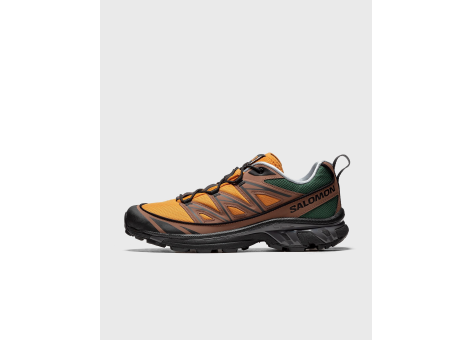 Salomon XT 6 Expanse 75th Anniversary (L41705300) bunt