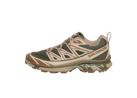 Salomon XT 6 Expanse Seasonal (L47598300) grau