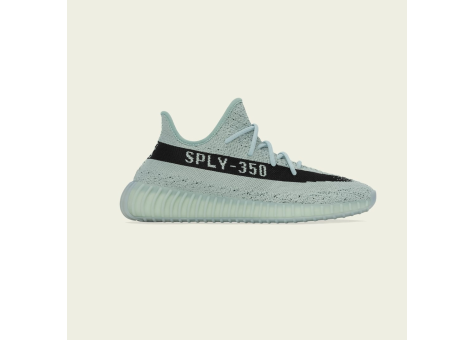 Yeezy Yeezy Boost 350 V2 Salt (HQ2060) bunt