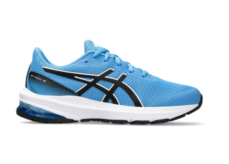 Asics GT 1000 12 (1014A296-404) blau