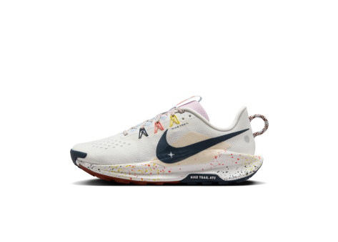 Nike Pegasus Trail 5 (DV3865-102) weiss