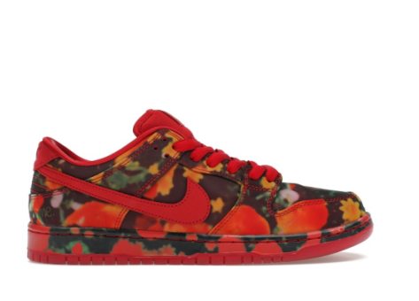 nike sb dunk low the wizard of oz poppy field fz1291600