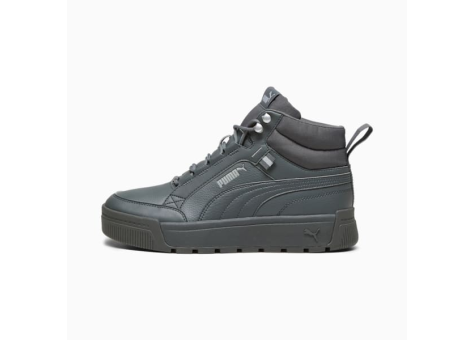 PUMA Tarrenz SB III (392628_03) grau