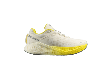 Salomon Aero Glide 3 (L47975900) bunt