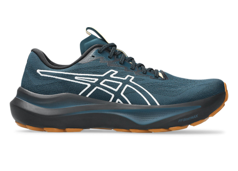 Asics GT 2000 14 TR (1011C129-300) blau