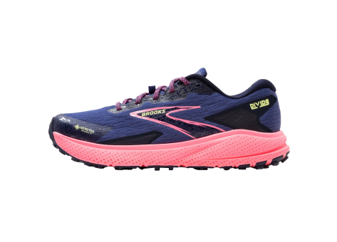 Brooks Divide 5 GTX (120417-1B-463) blau