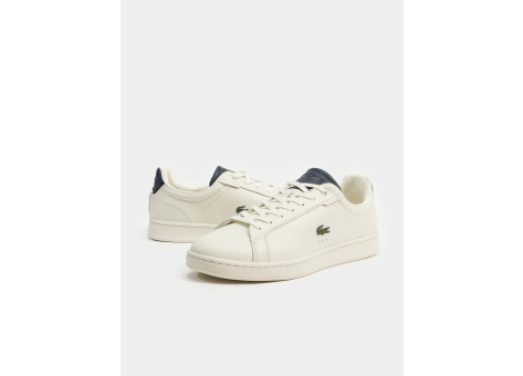 Lacoste evo hot sale carnaby white